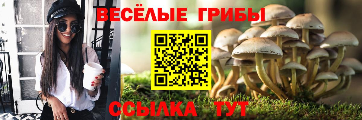 Псилоцибиновые грибы мицелий Чита