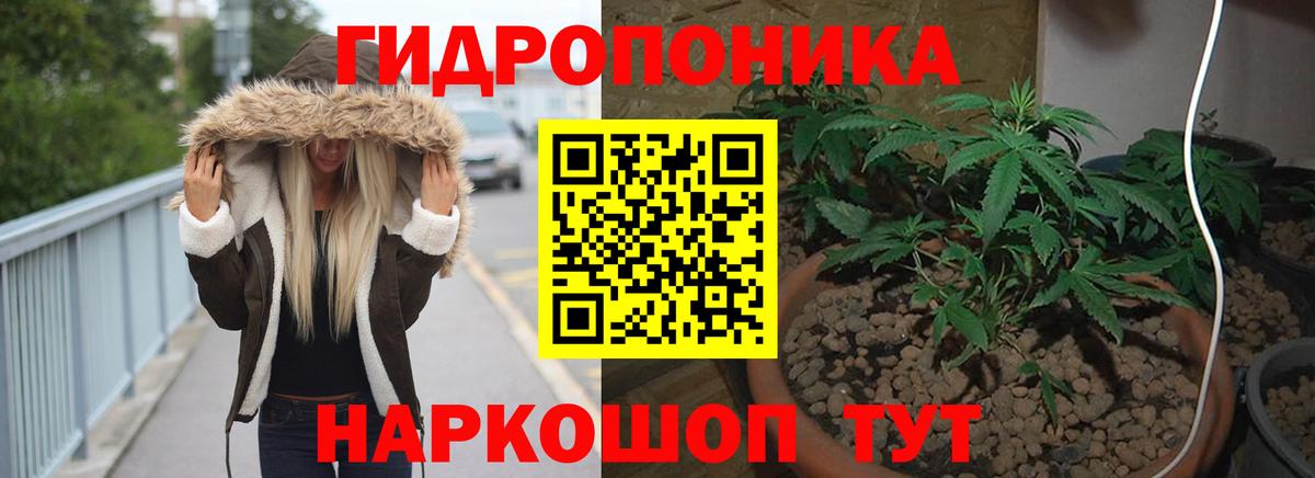 Каннабис сатива  Конопля ГИДРОПОН  Вход с VPN  Чита  Марихуана конопля  Бошки Шишки VHQ 